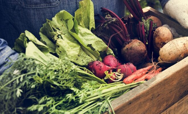 americas food and beverage show, afb show, healthy, health food, healthy snacks