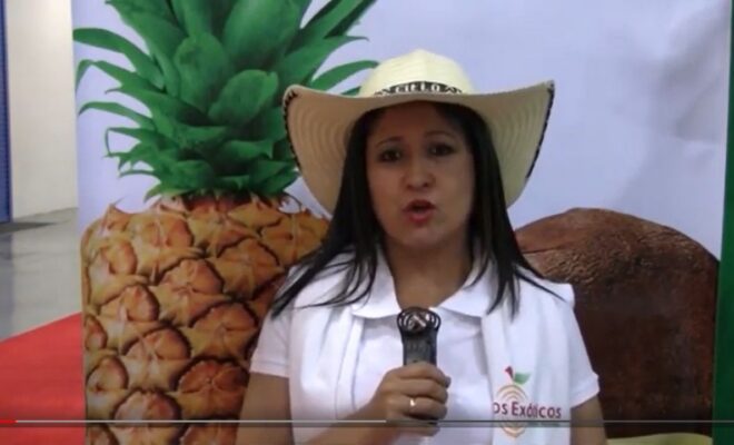 cielo montoya, frutos exoticos, colombia, mujer, alimentos y bebidas, afbshow
